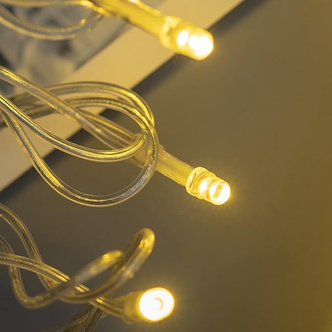YULETIME 100 ft 300 Count Warm White LED String Lights with Adapter, Clear Wire Wide Angle 5mm Christmas Light (Warm White)