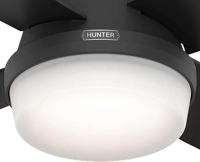 Hunter Fan Company, 52388, 52 inch Dempsey Matte Black Ceiling Fan with LED Light Kit and Handheld Remote