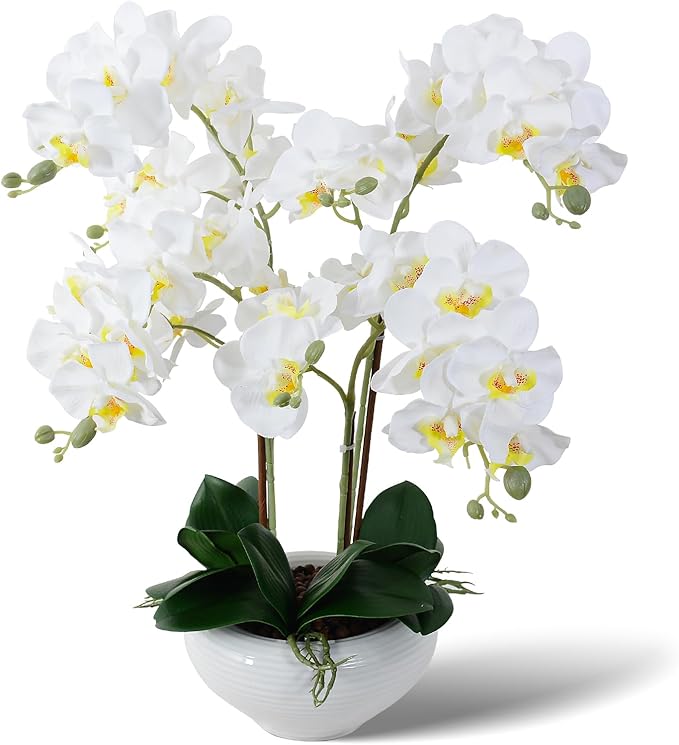 Ziwon Artificial Orchid Flowers Potted in Ceramic Pot, White Faux Phalaenopsis Orchids for Table Centerpiece, Realistic Fake Flower in vase for Home Office Decor Indoor