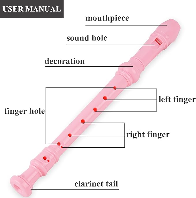 Recorder Instrument for Beginner Adults,8-Hole Soprano Descant Recorder Music Flute with with Cleaning Rod & Leather Case For Home Entertainment(2-Flash Woven Pink2)