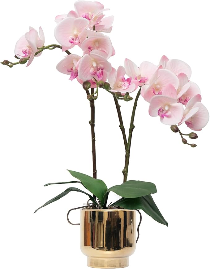 CXGS Orchids Artificial Flowers Real Touch Fake Flowers in Ceramic Pot 20" Pink Faux Orchid Plant Lifelike Silk Phalaenopsis for Centerpiece Hotel Home Indoor Decor