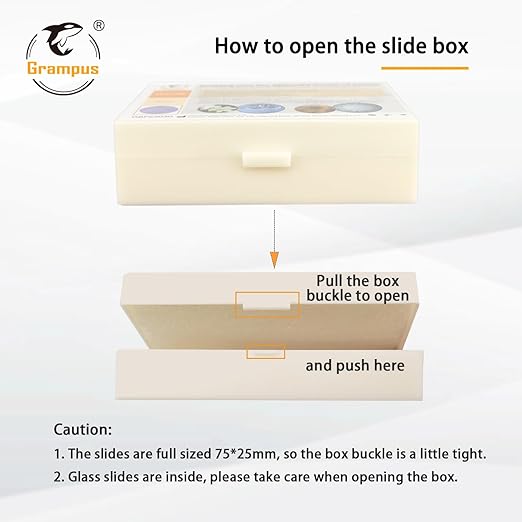 30 Prepared Microscope Slides with Specimens for Kids Students - Insects, for Biological Science Lab, Children's Science Education, Homeschooling Use