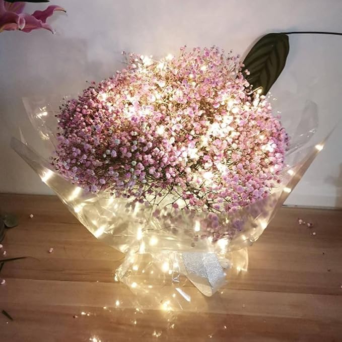 String Lights,LED Copper Wire Lights, Each Set 33ft/10M 100LEDs and 4 Remote Control.AA Battery Powered,Decor Rope Lights for Holiday,Wedding, Parties.(White)