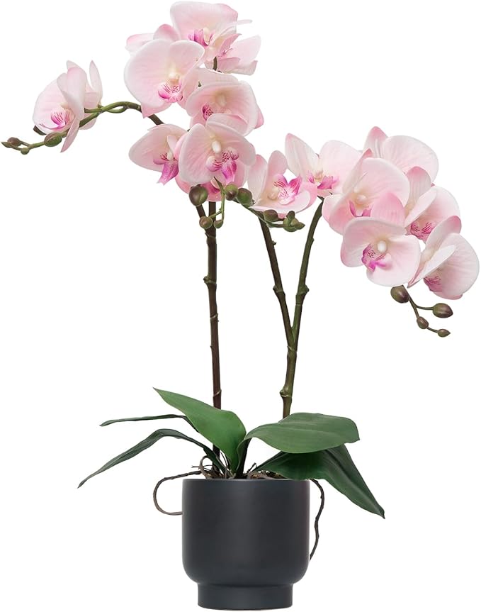 CXGS Orchids Artificial Flowers Real Touch Fake Flowers in Ceramic Pot 20" Pink Faux Orchid Plant Lifelike Silk Phalaenopsis for Centerpiece Hotel Home Indoor Decor