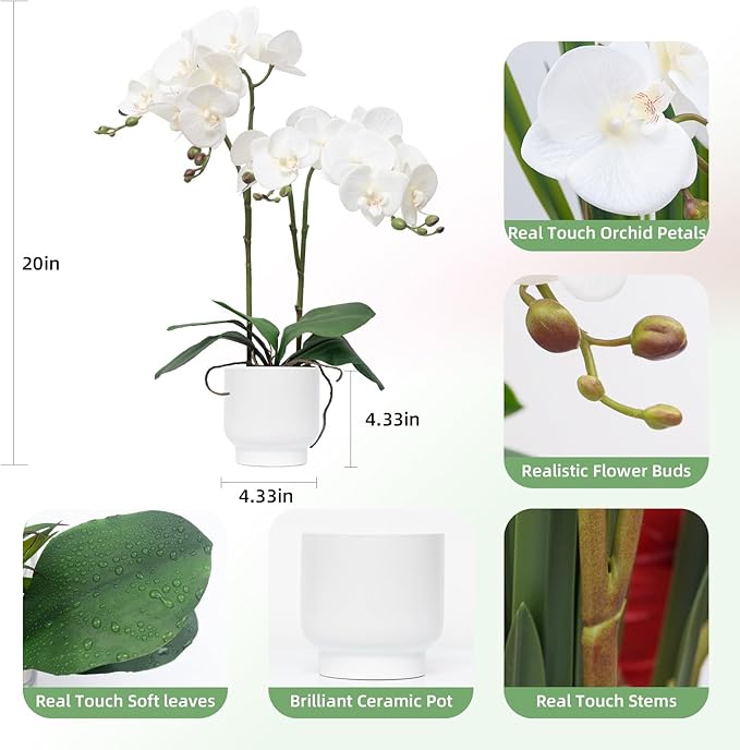 CXGS Orchids Artificial Flowers Real Touch Fake Flowers in Ceramic Pot 20" White Faux Orchid Plant Lifelike Silk Phalaenopsis for Centerpiece Hotel Home Indoor Decor