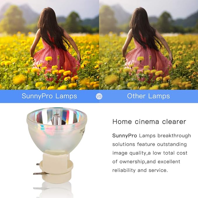 SunnyPro Compatible BL-FP230D BL-FP230H Bulb for Optoma P-VIP 230/0.8 E20.8 DH1010 EH1020 EW615 EX612 EX615 GT50E GT50ECA GT750 HD1081 HD180 HD20 HD200X HD200X-LV HD20-LV HD22 HD2200 HD23 PRO800P