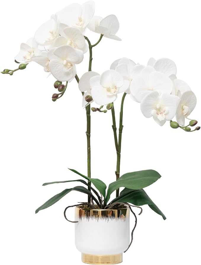 CXGS Orchids Artificial Flowers Real Touch Fake Flowers in Ceramic Pot 20" White Faux Orchid Plant Lifelike Silk Phalaenopsis for Centerpiece Hotel Home Indoor Decor