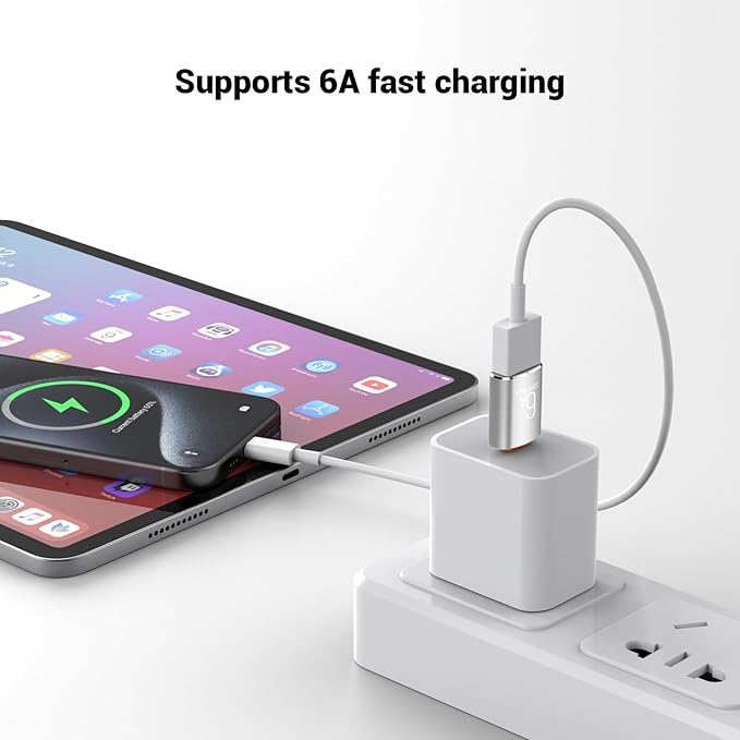 Pastall 10 Pack 10Gbps/120W USB C to USB3.1 Adapter, Silver Type C Male to USB Female Adapter for Smartphone, PC, Laptop, Tablet, Keyboard etc.