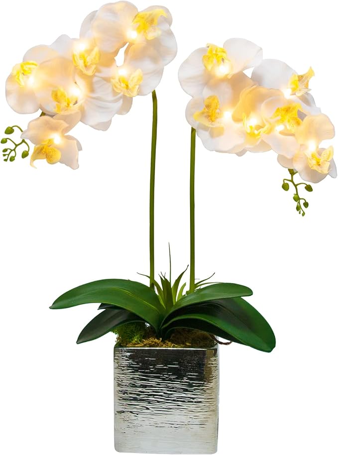 Orchid Lamp-LED Lighted Orchid Arrangements,Pre Lit Artificial Orchid,Light Up Flower Lights, Faux Orchid Phalaenopsis Arrangement (15", White)