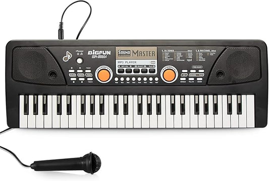 Raimy Piano Keyboard for Kids 49 Keys Portable Keyboard Piano Early Learning Educational Electronic Musical Instrument Toys Gifts for 3 4 5 6 7 8 9 Year Old Boys and Girls (Black)
