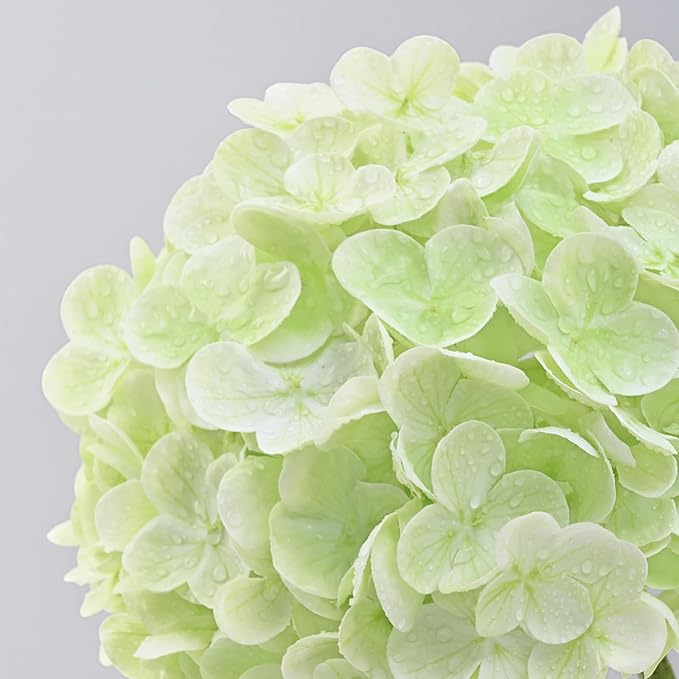 MARTINE MALL 4Pcs 21in Hydrangea Artificial Flowers, Latex Real Touch Hydrangeas Lifelike Large Hydrangea Flowers for Home Decor Party Arrangements Wedding Bouquets Centerpieces (2White&2Light Green)