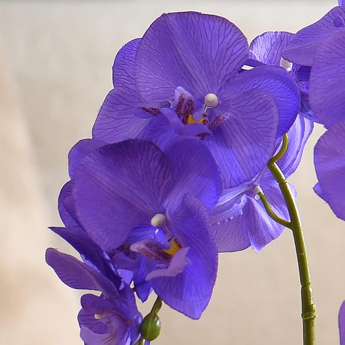 Large Artificial Potted Orchid Plant, Silk Flower Arrangement with Ceramics Vase, Purple