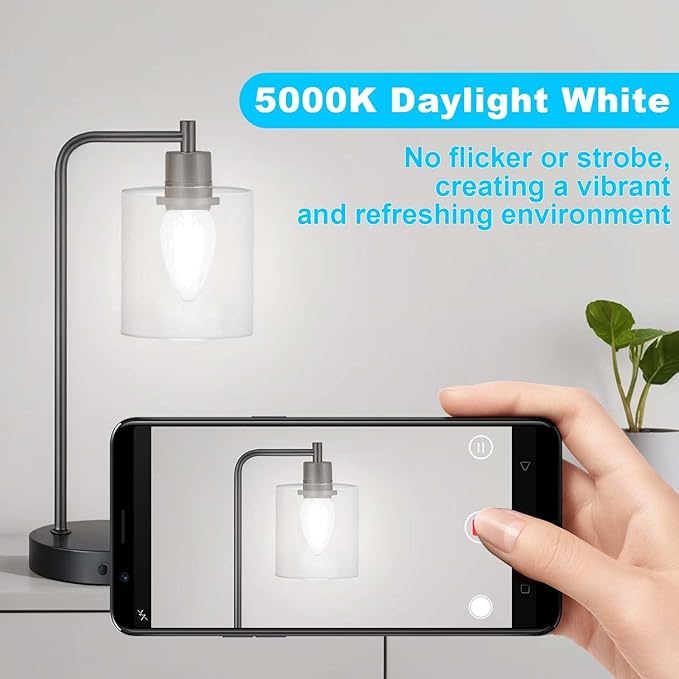 BRIMAX F15 8W LED Light Bulbs, Daylight White 5000K,75W - 80W Incandescent Equivalent,Dimmable,E26 Medium Base,Flame Wrinkle Glass,4 Pack
