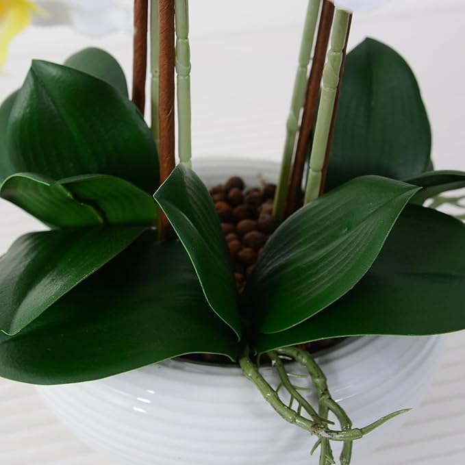 Ziwon Artificial Orchid Flowers Potted in Ceramic Pot, White Faux Phalaenopsis Orchids for Table Centerpiece, Realistic Fake Flower in vase for Home Office Decor Indoor