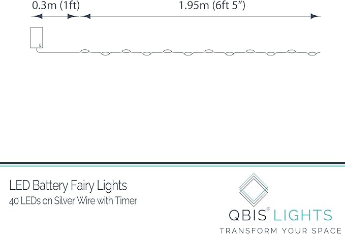 QBIS Warm White Fairy Lights Battery Operated with Timer Mode, 40 Micro LEDs for Mason Jars, 6.5ft, Silver Wire Lights Indoor Use (Warm White) - 2 Pack