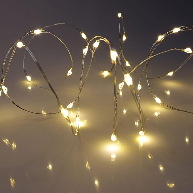 QBIS Warm White Fairy Lights Battery Operated With Timer Mode, 40 Micro LED for Mason Jars, 6.5ft Silver Wire Indoor Use