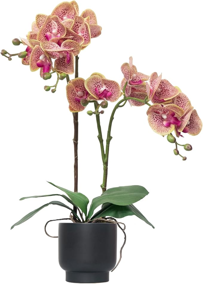 CXGS Orchids Artificial Flowers Real Touch Fake Flowers in Ceramic Pot 20" Purple Dapple Faux Orchid Plant Lifelike Silk Phalaenopsis for Centerpiece Hotel Home Indoor Decor