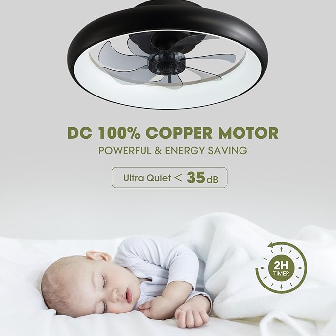 Modern Black 20" Flush Mount Ceiling Fan with Lights, 6 Wind Speeds, LED, Bedroom, Kitchen