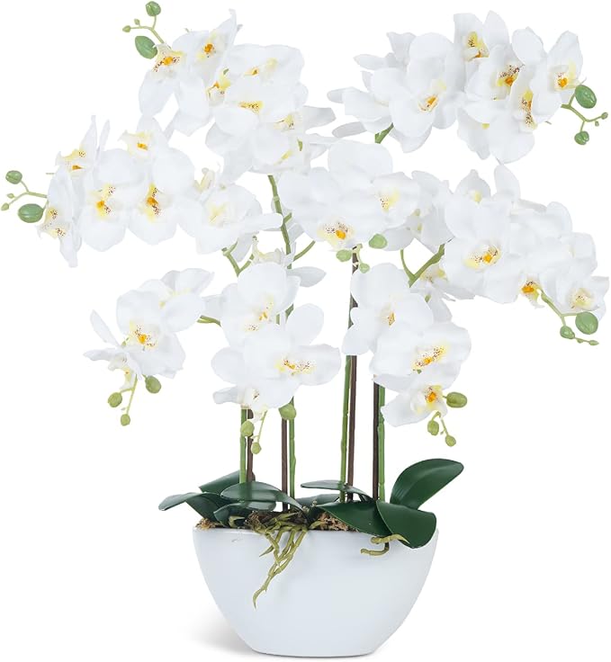 Ziwon Artificial Orchid Flowers & Plants Potted in Ceramic Pot, White Faux Phalaenopsis Orchids for Table Centerpiece, Realistic Fake Flower Arrangement for Home Office Decor Indoor