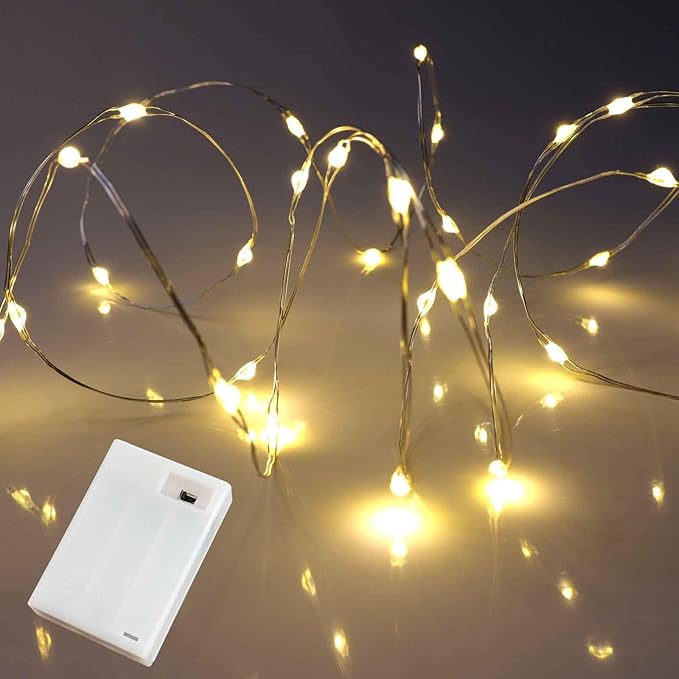 QBIS Warm White Fairy Lights Battery Operated With Timer Mode, 40 Micro LED for Mason Jars, 6.5ft Silver Wire Indoor Use