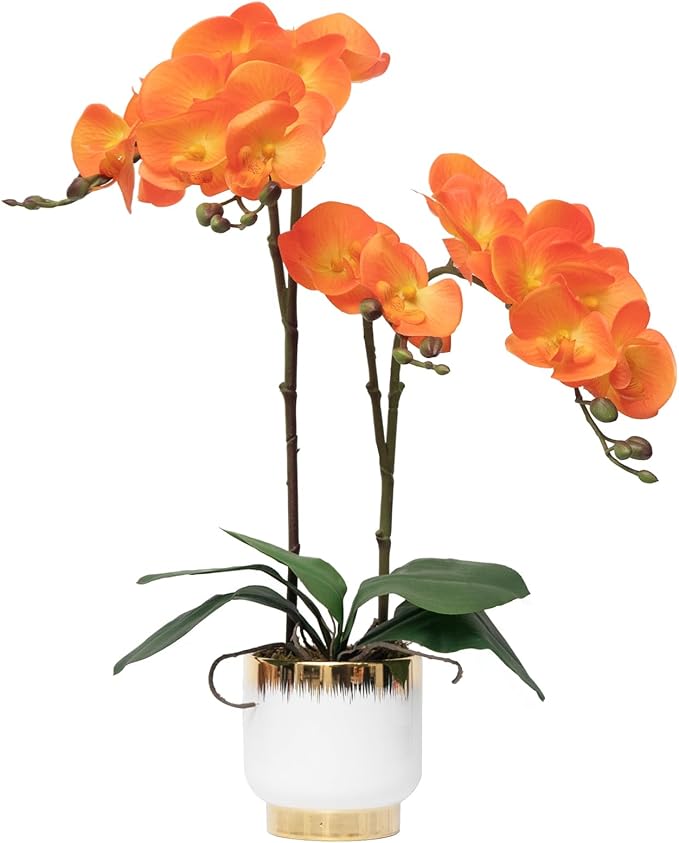 CXGS Orchids Artificial Flowers Real Touch Fake Flowers in Ceramic Pot 20" Orange Faux Orchid Plant Lifelike Silk Phalaenopsis for Centerpiece Hotel Home Indoor Decor