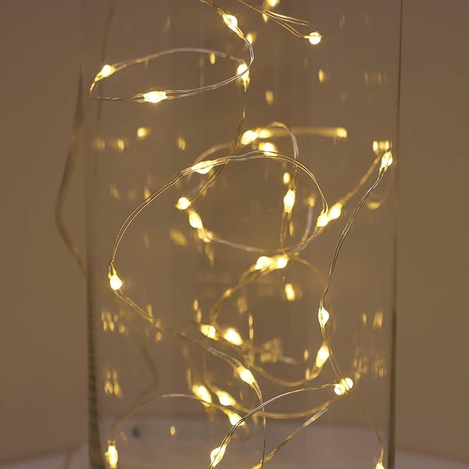 QBIS Warm White Fairy Lights Battery Operated With Timer Mode, 40 Micro LED for Mason Jars, 6.5ft Silver Wire Indoor Use