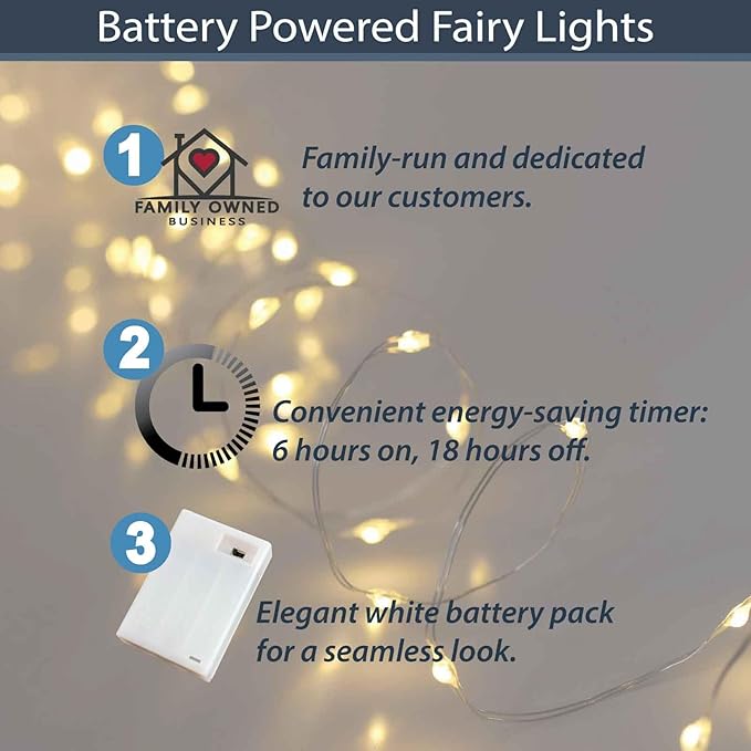 QBIS Warm White Fairy Lights Battery Operated With Timer Mode, 40 Micro LED for Mason Jars, 6.5ft Silver Wire Indoor Use