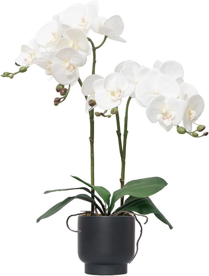 CXGS Orchids Artificial Flowers Real Touch Fake Flowers in Ceramic Pot 20" White Faux Orchid Plant Lifelike Silk Phalaenopsis for Centerpiece Hotel Home Indoor Decor