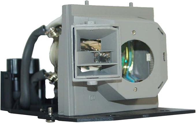 Advanced Lamps™ Lamp & Housing for The Infocus IN82 Projector