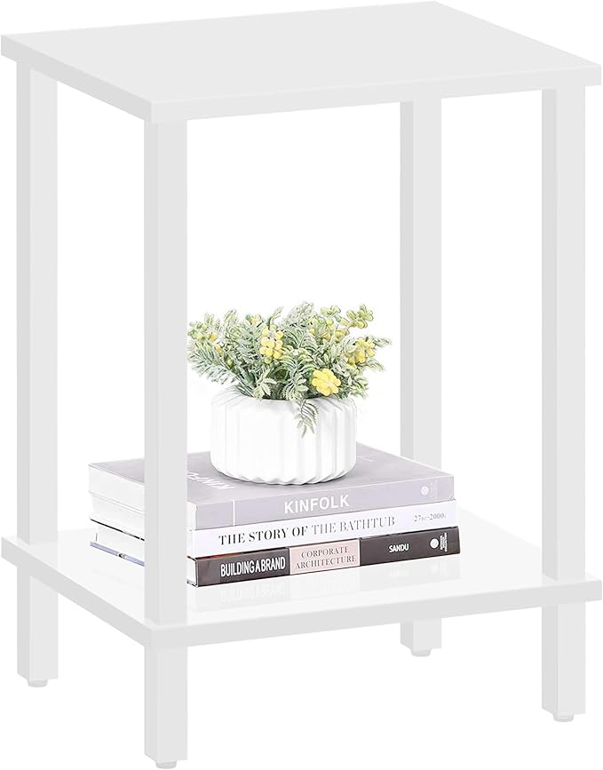 TUTOTAK End Table, Side Table, Nightstand, 2-Tier Storage Shelf, Sofa Side Table for Small Space, Living Room, Bed Room V1TB01BW034