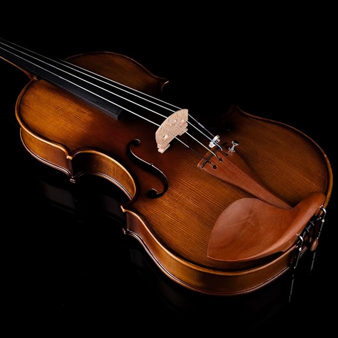 Rhythm Violin Set for Beginners,Acoustic Violins Starter Kit Package for Student,Beginners Fiddle with Hard Case, Rosin, Shoulder Rest, Bow, and Extra Strings (MATTE, Full)