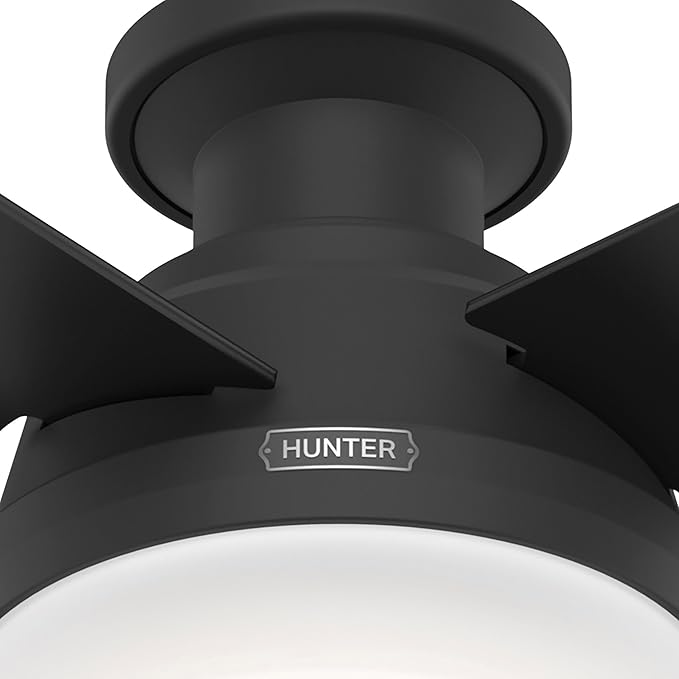 Hunter 52389 Dempsey Ceiling Fan 52 inches Matte Black