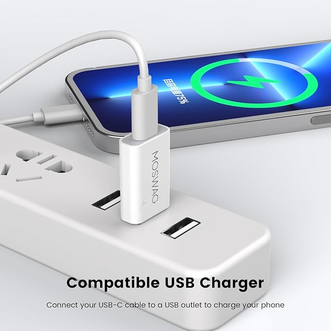 MOSWAG USB-C Female to USB-A Male Adapter