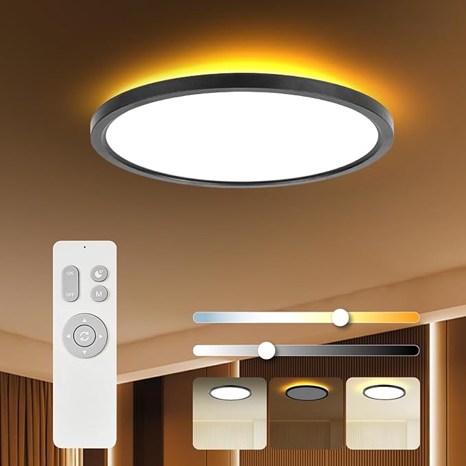 TALOYA Flush Mount Ceiling Light with Remote,3000K-6500K Adjustable,2000K Nightlight,12 Inch, Led Low Profile Ceiling Lights for Bedroom, Living Room, Kitchen, Black