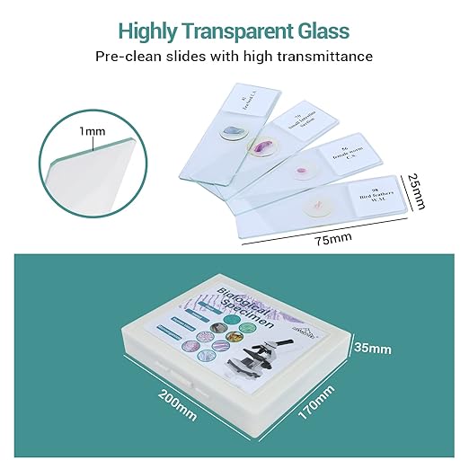 100 Microscope Slides with Specimens for Kids and Adults, Prepared Microscope Slides with Plants Animals Insects for Students Homeschool Edu