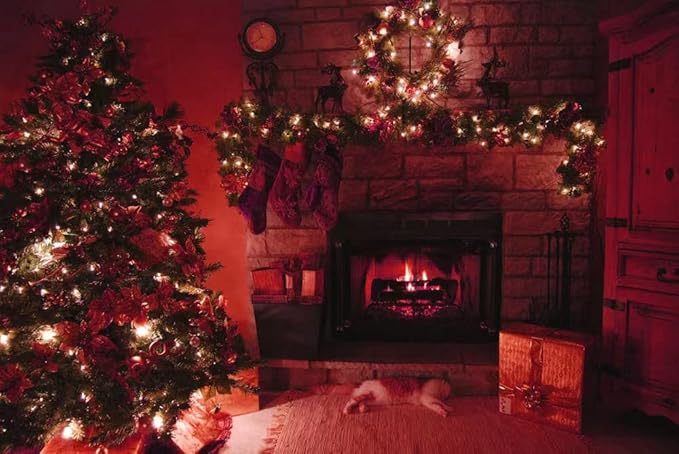 String Lights,LED Copper Wire Lights, Each Set 33ft/10M 100LEDs and 9 Remote Control.AA Battery Powered,Decor Rope Lights for Holiday,Wedding, Parties.(Red)