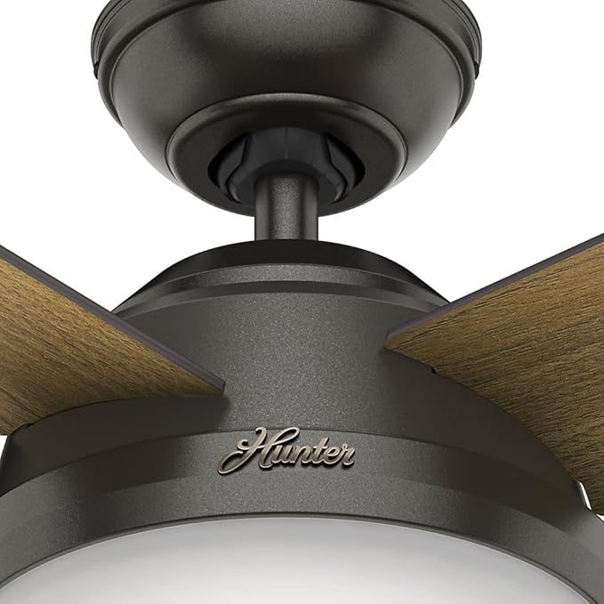 Hunter 44 inch Indoor Ceiling Fan with LED Light and Remote Control - Bronze Modern Ceiling Fan, Standard Mount, 4 Blades, For Bedroom, Living Room, or Kitchen - Dempsey 59444, Noble Bronze