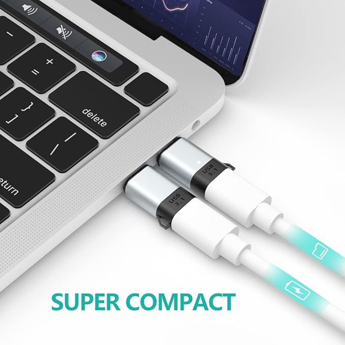 USB C Magnetic Adapter 24 pin Straight 2 Pack PD 100W Fast Charging 10Gbs Data Transfer USB3.1