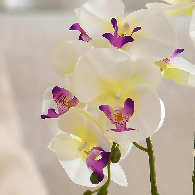 Large Artificial Potted Orchid Plant, Silk Flower Arrangement with Ceramics Vase, White