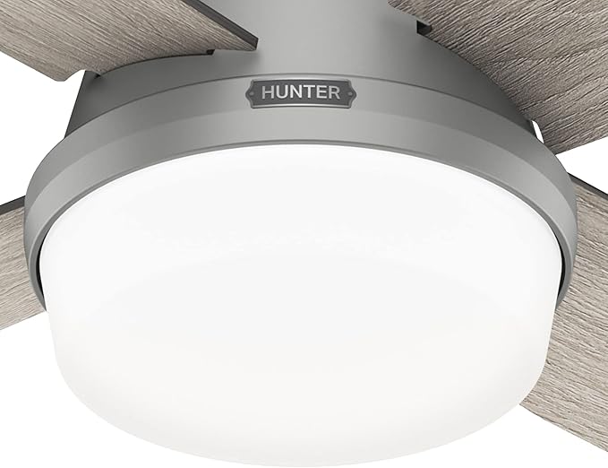 Hunter 51736 Dempsey Ceiling Fan 52 inches Matte Silver