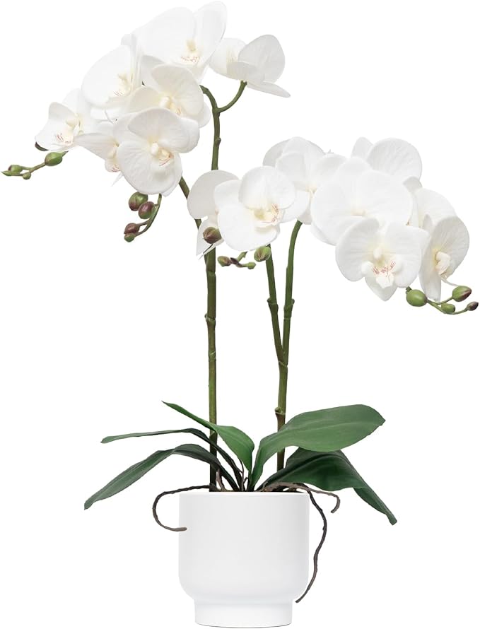 CXGS Orchids Artificial Flowers Real Touch Fake Flowers in Ceramic Pot 20" White Faux Orchid Plant Lifelike Silk Phalaenopsis for Centerpiece Hotel Home Indoor Decor