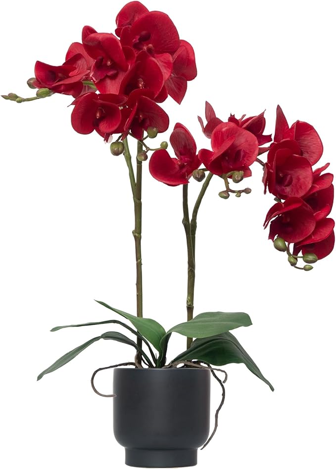 CXGS Orchids Artificial Flowers Real Touch Fake Flowers in Ceramic Pot 20" Red Faux Orchid Plant Lifelike Silk Phalaenopsis for Centerpiece Hotel Home Indoor Decor
