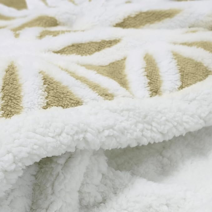 LOMAO Sherpa Fleece Blanket Fuzzy Soft Throw Blanket Dual Sided Blanket for Couch Sofa Bed (Fruit Green, 51"x63")