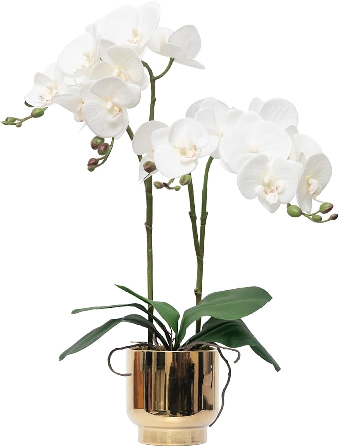 CXGS Orchids Artificial Flowers Real Touch Fake Flowers in Ceramic Pot 20" White Faux Orchid Plant Lifelike Silk Phalaenopsis for Centerpiece Hotel Home Indoor Decor