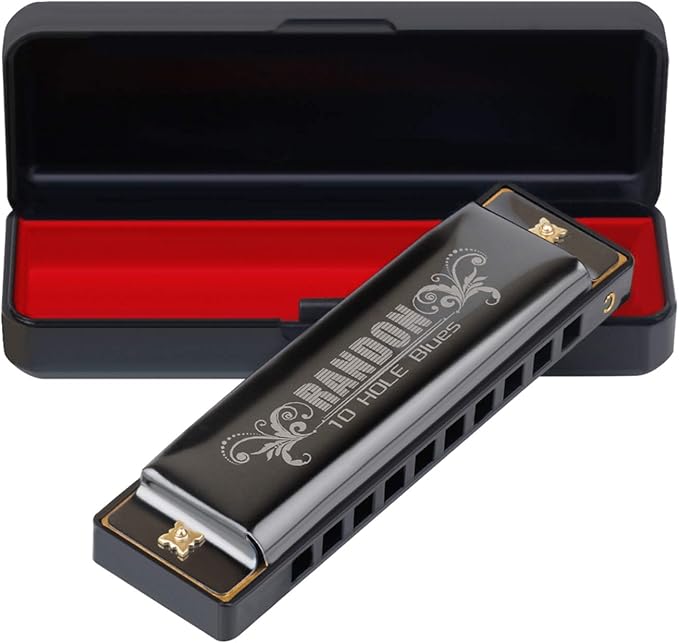 Randon Black Harmonica Key of C, 10 Holes Diatonic Harmonicas for Adults/Kids/Beginners, Blues Harmonica as Gift, with Case, Clean Cloth and Manual