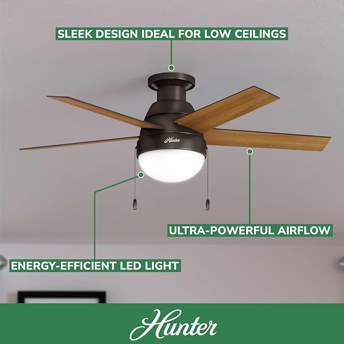 Hunter 59268 Anslee Indoor Low Profile Ceiling Fan with LED Light and Pull Chain Control, 46", Brown