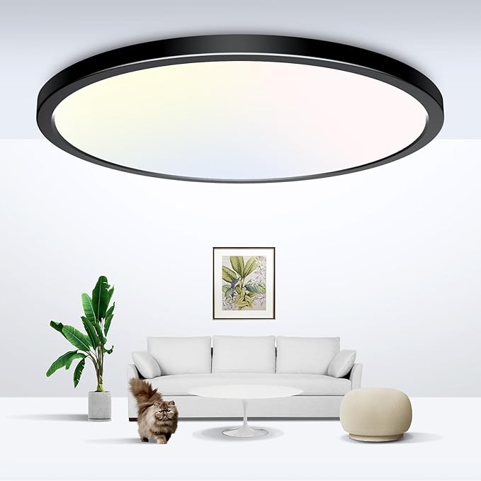 zemty Black Ceiling Light 9 Inch,24W 2400lm Bright LED Flush Mount Light Fixture 3000K/4500K/6000K Adjustable,Thin Flat Ceiling Lamp for Bathroom Closet Pantry Hallway