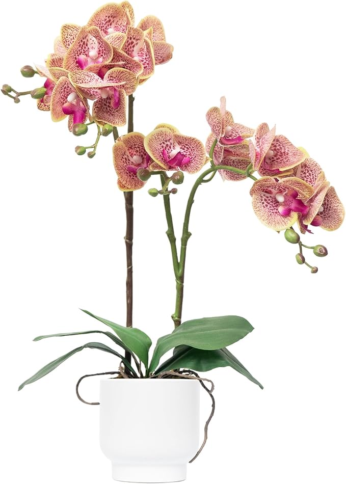 CXGS Orchids Artificial Flowers Real Touch Fake Flowers in Ceramic Pot 20" Purple Dapple Faux Orchid Plant Lifelike Silk Phalaenopsis for Centerpiece Hotel Home Indoor Decor