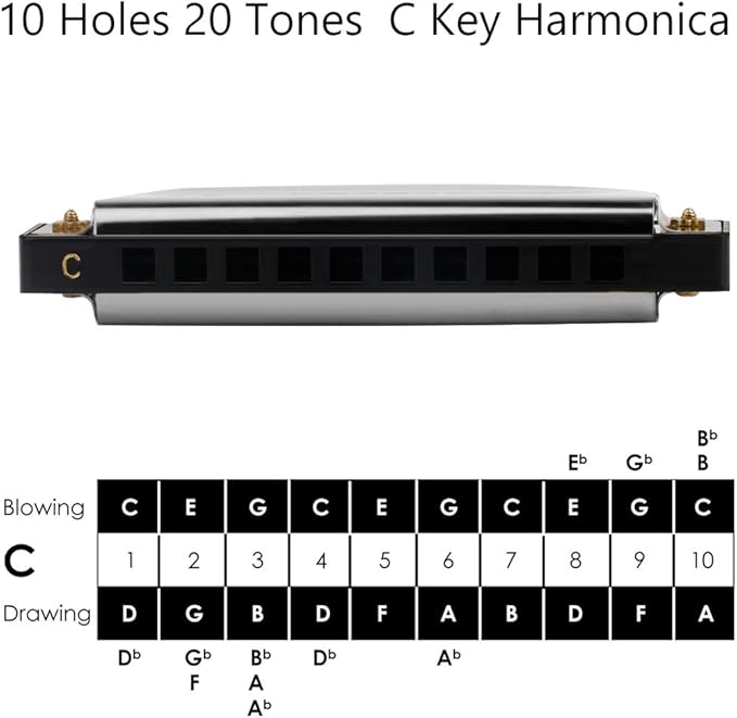 Randon Silver Harmonica Key of C, 10 Holes Diatonic Harmonicas for Adults/Kids/Beginners, Blues Harmonica as Gift, with Case, Clean Cloth and Manual