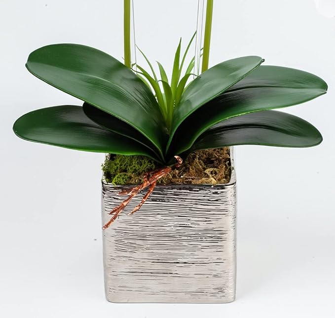 Orchid Lamp-LED Lighted Orchid Arrangements,Pre Lit Artificial Orchid,Light Up Flower Lights, Faux Orchid Phalaenopsis Arrangement (15", White)